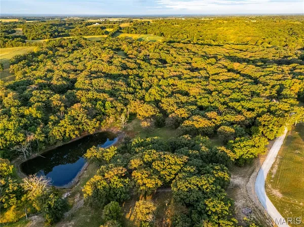 $395,200 | 0 Highway D - Tract 9 (24.7 /- Acres) Eolia Mo 63344, Eolia, MO 63344