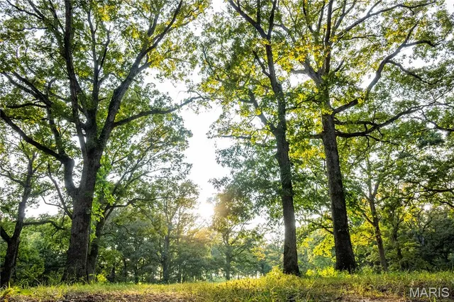 $407,550 | 0 Highway D - Tract 9 (24.7 /- Acres) Eolia Mo 63344, Eolia, MO 63344