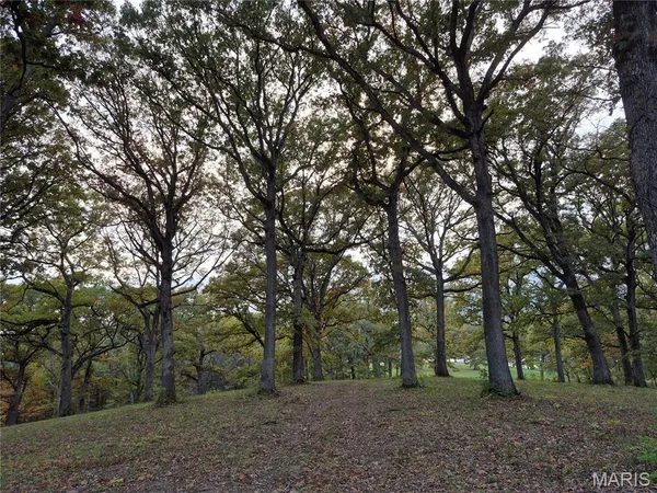 $395,200 | 0 Highway D - Tract 9 (24.7 /- Acres) Eolia Mo 63344, Eolia, MO 63344