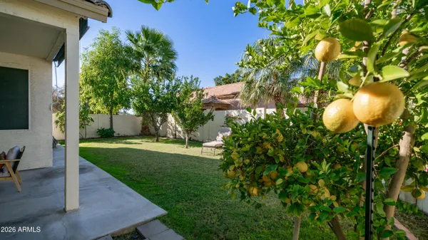 a view of a backyard