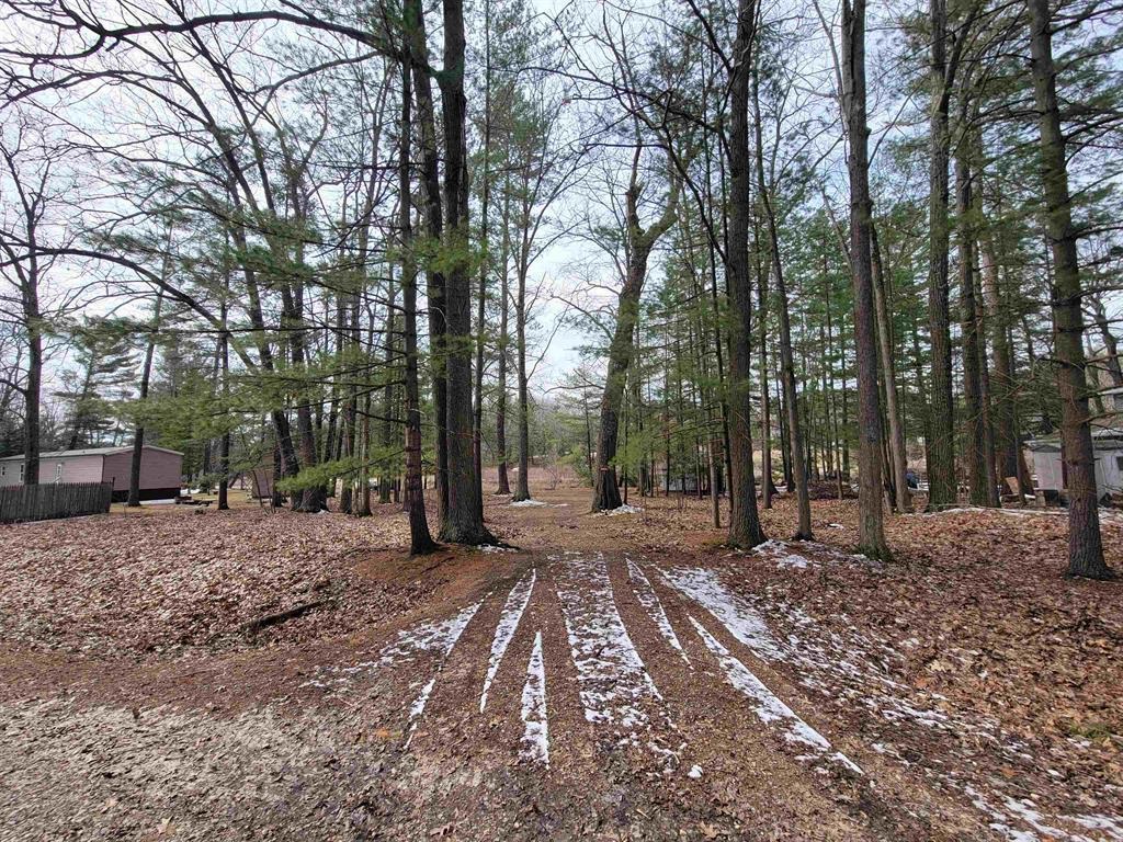 Vl Maple Point Road Beaverton, MI 48612 - Photo 6 of 8