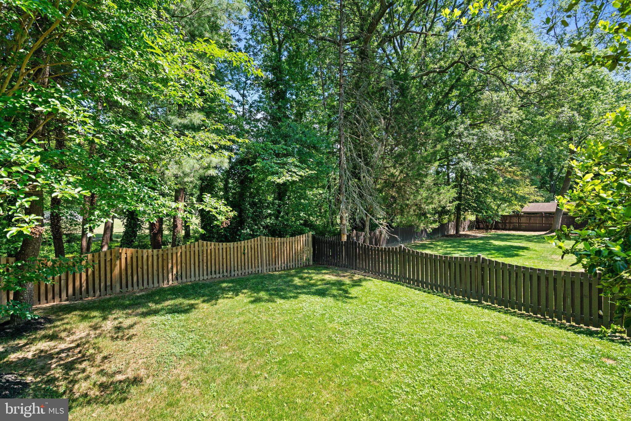 8611 Cyrus Place Alexandria, VA 22308 - Photo 45 of 49 Back yard
