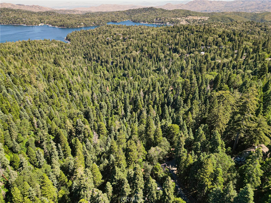 746 Blue Ridge Drive Skyforest, CA 92385 - Photo 6 of 18 Ariel photo of the area. Parcel is located on the south side of Lake Arrowhead. By Santas Village