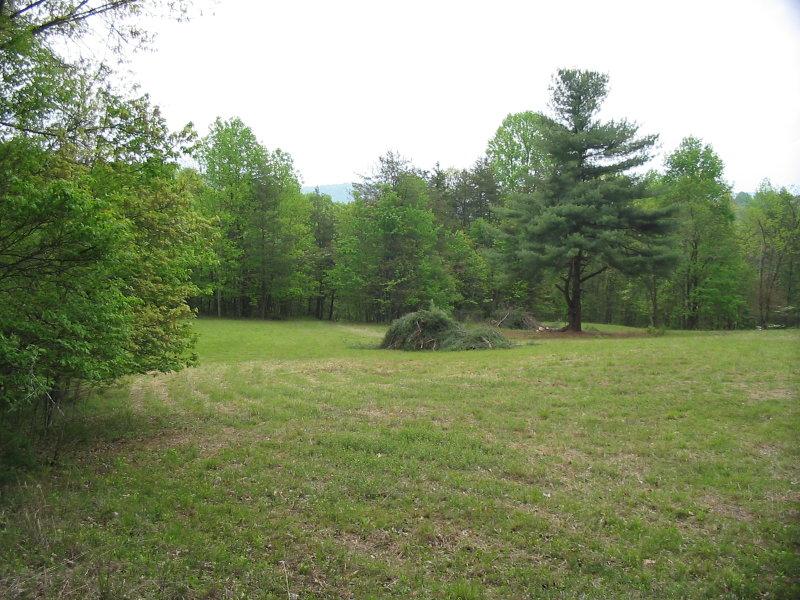 999 Hatcher Road Jumping Branch, WV 25969 - Photo 5 of 16 Gallery Image 5