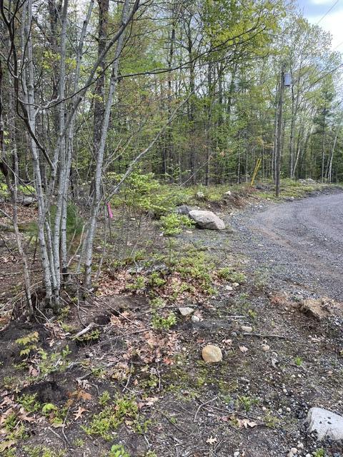 Parcel A Olde Farnham Road Alfred, ME 04002 - Photo 2 of 4 image2 (1)
