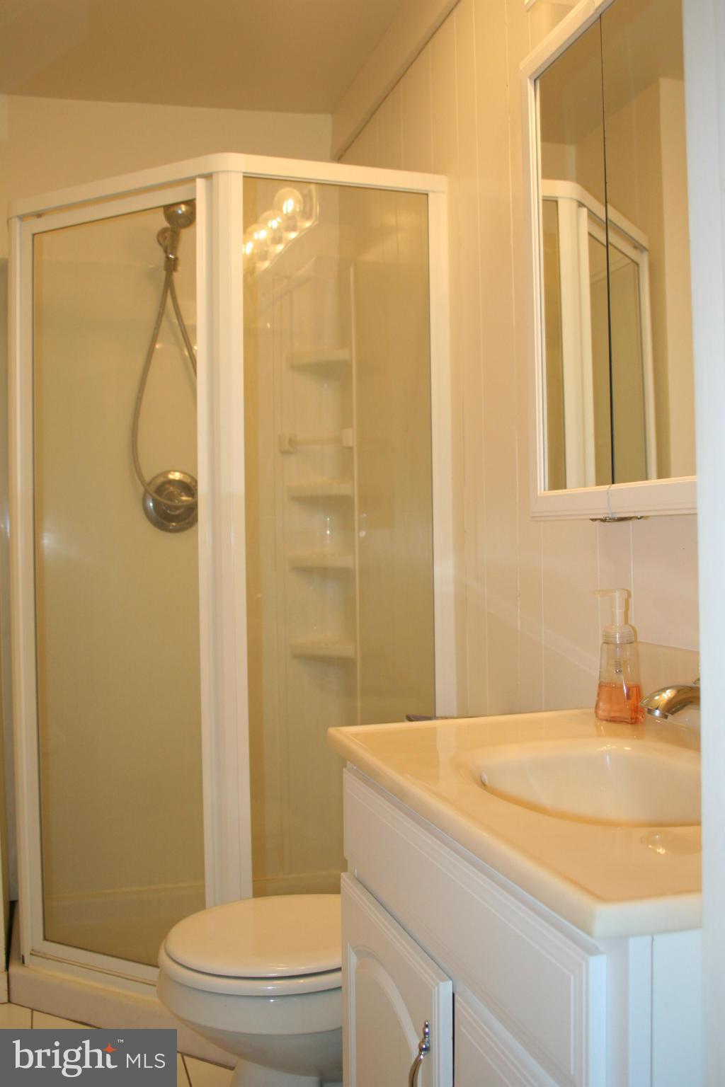 2514 Barrison Point Road Essex, MD 21221 - Photo 15 of 22 a bathroom with a sink a toilet and shower