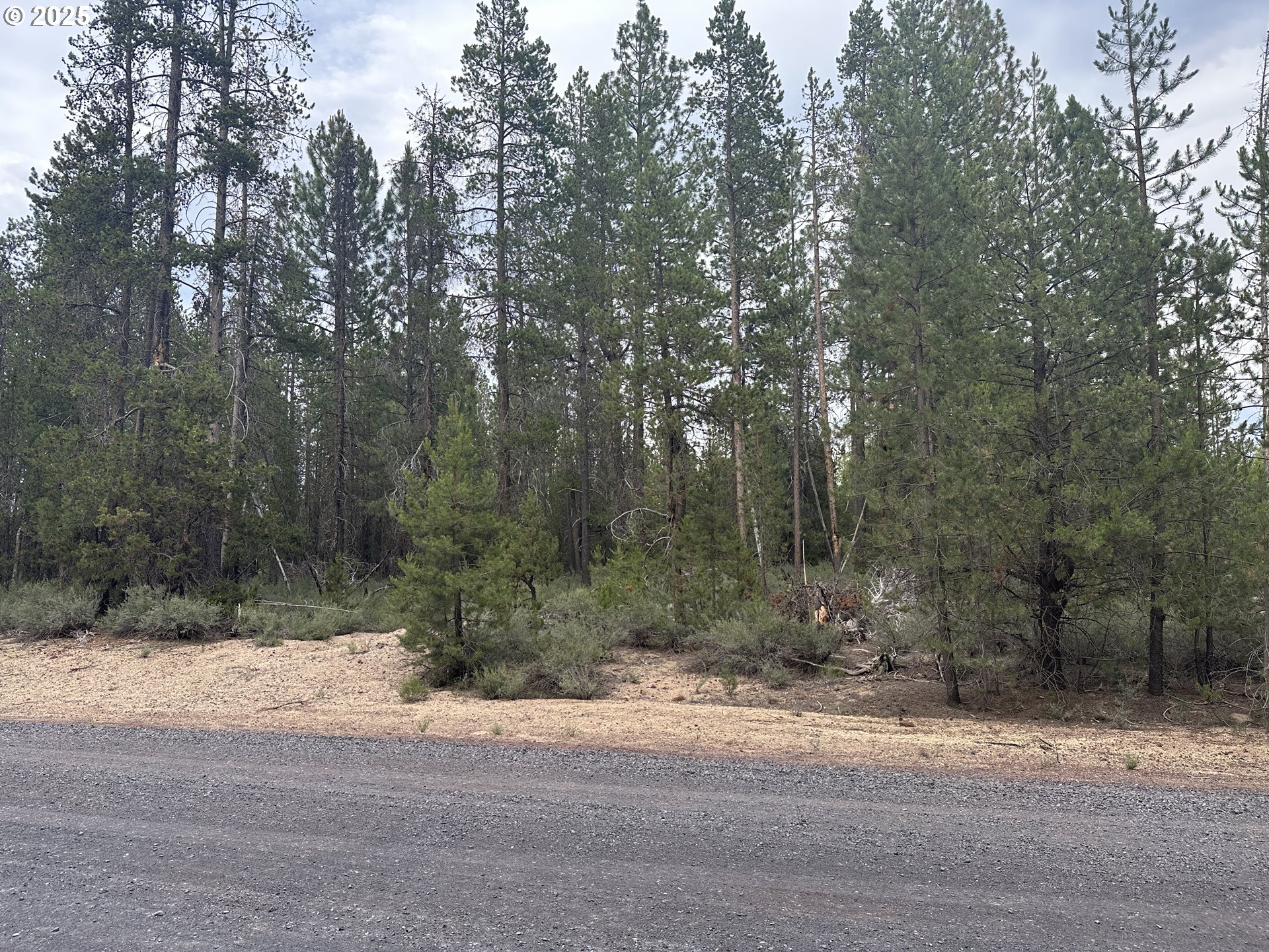 Kamloop Lane Gilchrist, OR 97737 - Photo 2 of 3