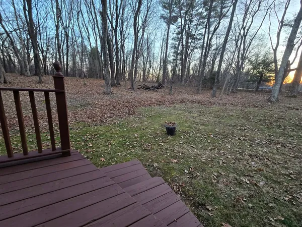 a view of a yard with large trees
