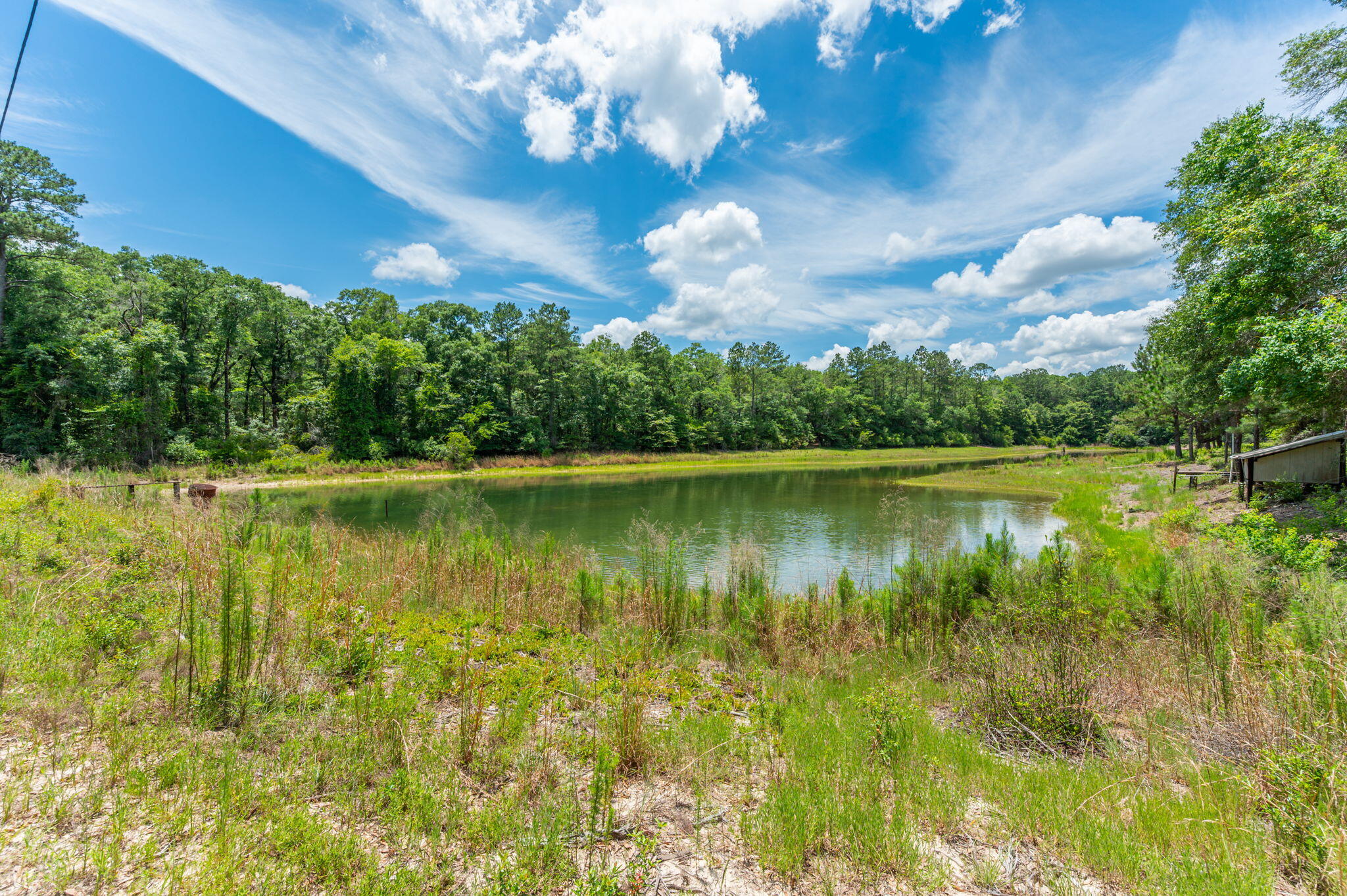 6199 Lake Ella Road Crestview, FL 32539 - Photo 47 of 58 Lake view