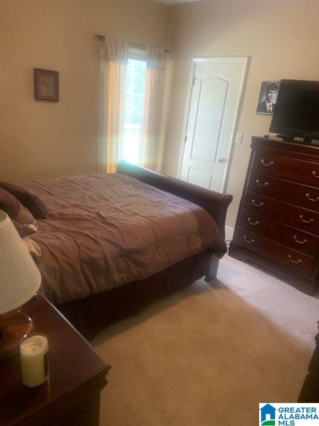 22573 Iron Masters Loop McCalla, AL 35111 - Photo 15 of 19