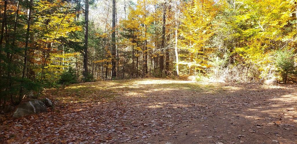 29 Walton Mills Road Mount Vernon, ME 04352 - Photo 17 of 30 Nice Yards and Openings for parking etc