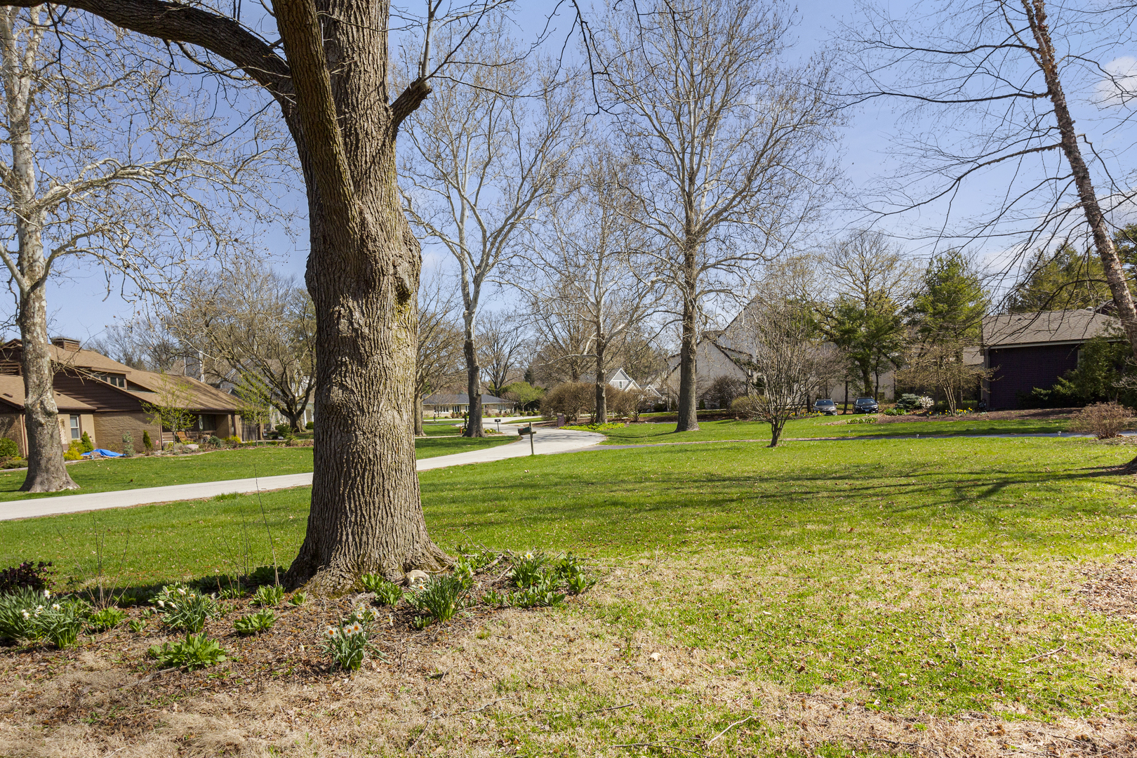 45 Greencroft Drive Champaign, IL 61821 - Photo 2 of 26 a view of a yard with a tree