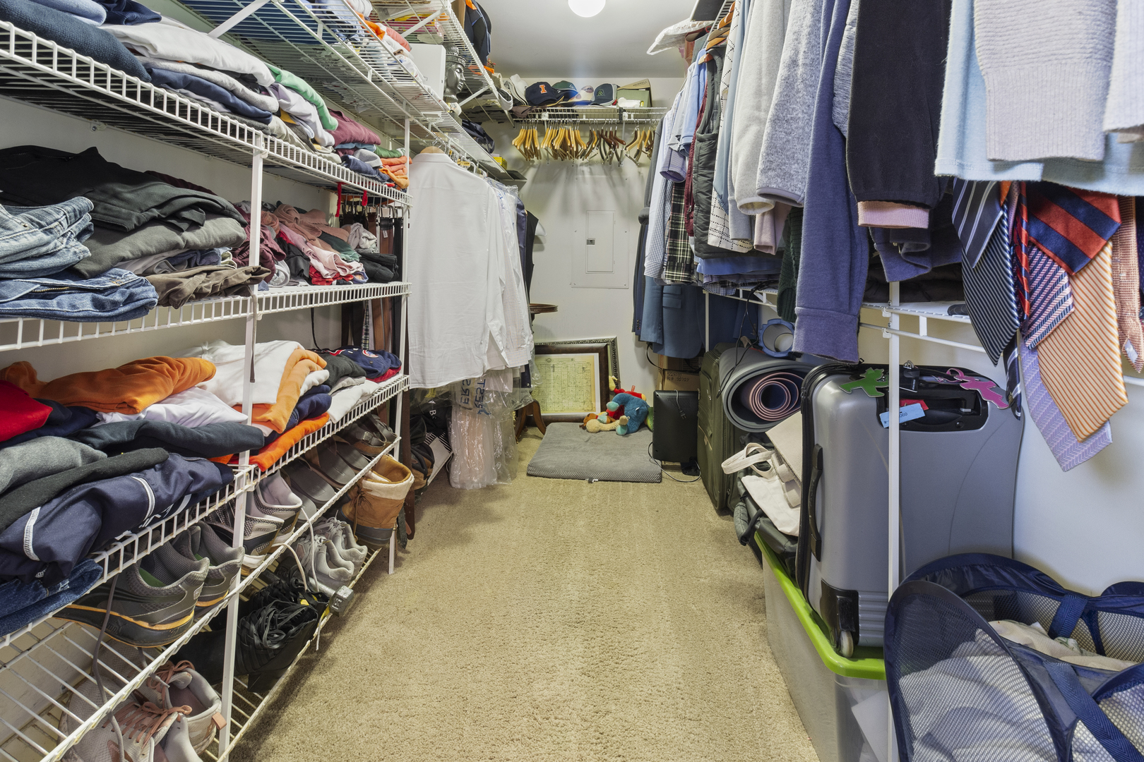 45 Greencroft Drive Champaign, IL 61821 - Photo 26 of 26 a view of walk in closet with clothes and shoes