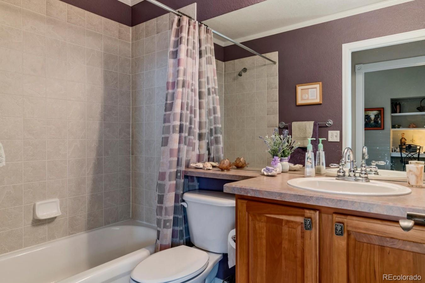 8974 Old Tom Morris Circle Highlands Ranch, CO 80129 - Photo 18 of 28 a bathroom with a sink vanity mirror and toilet
