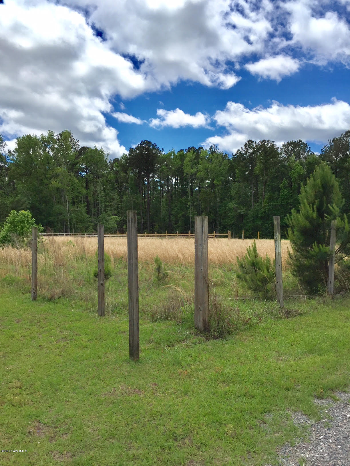 Lot 7 Off Of Drayton Dr Loop Ridgeland, SC 29936 - Photo 3 of 8 3