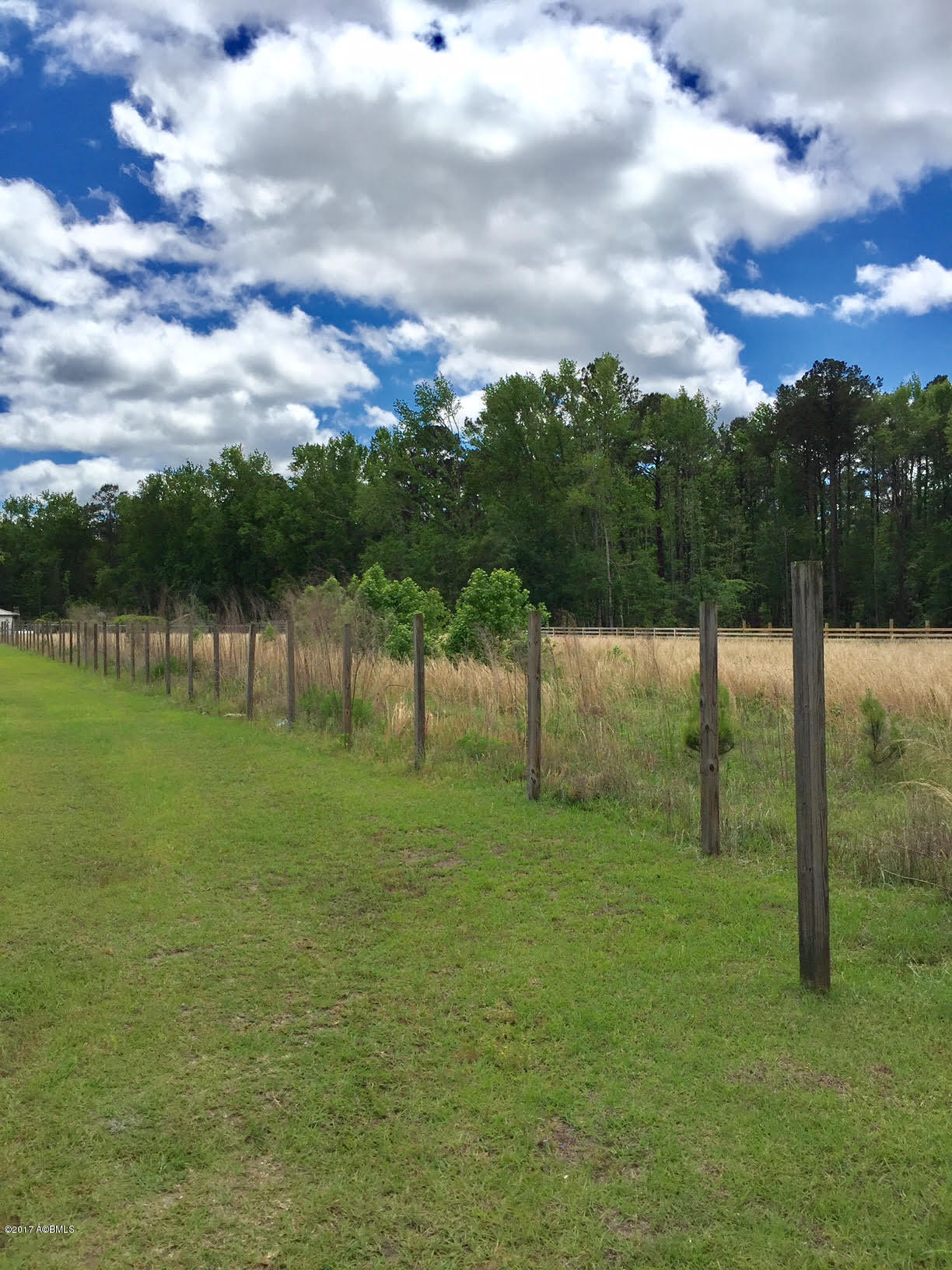 Lot 7 Off Of Drayton Dr Loop Ridgeland, SC 29936 - Photo 4 of 8 4