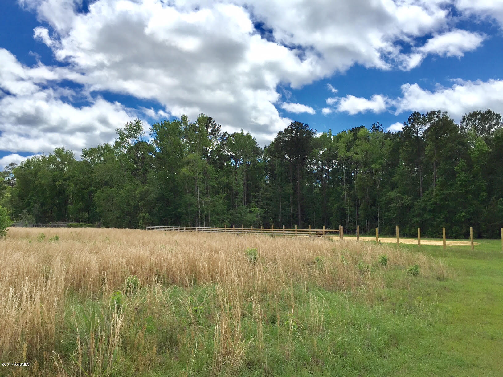 Lot 7 Off Of Drayton Dr Loop Ridgeland, SC 29936 - Photo 7 of 8 7