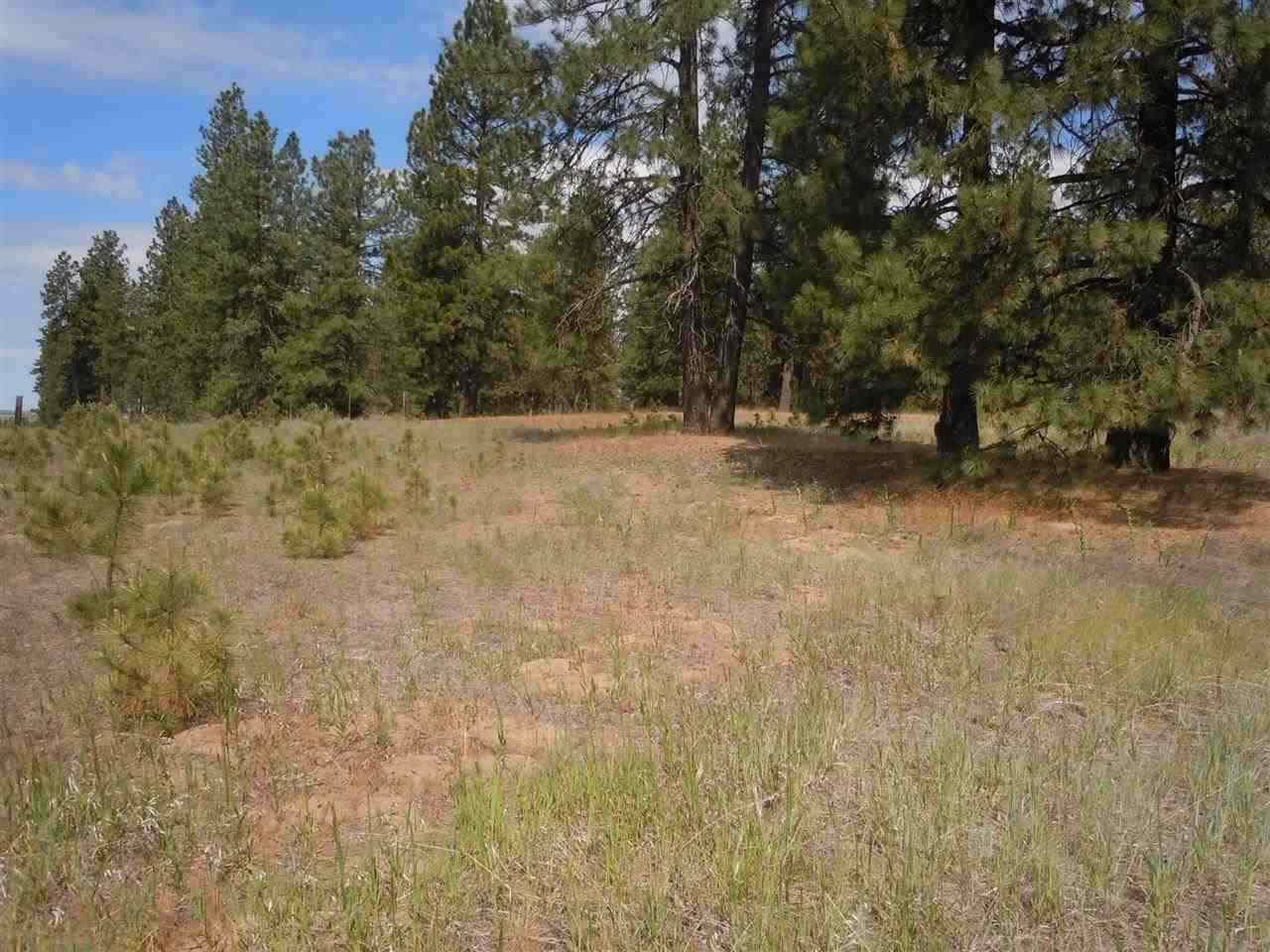 Nna South Ritchey Road Medical Lake, WA 99022 - Photo 1 of 20