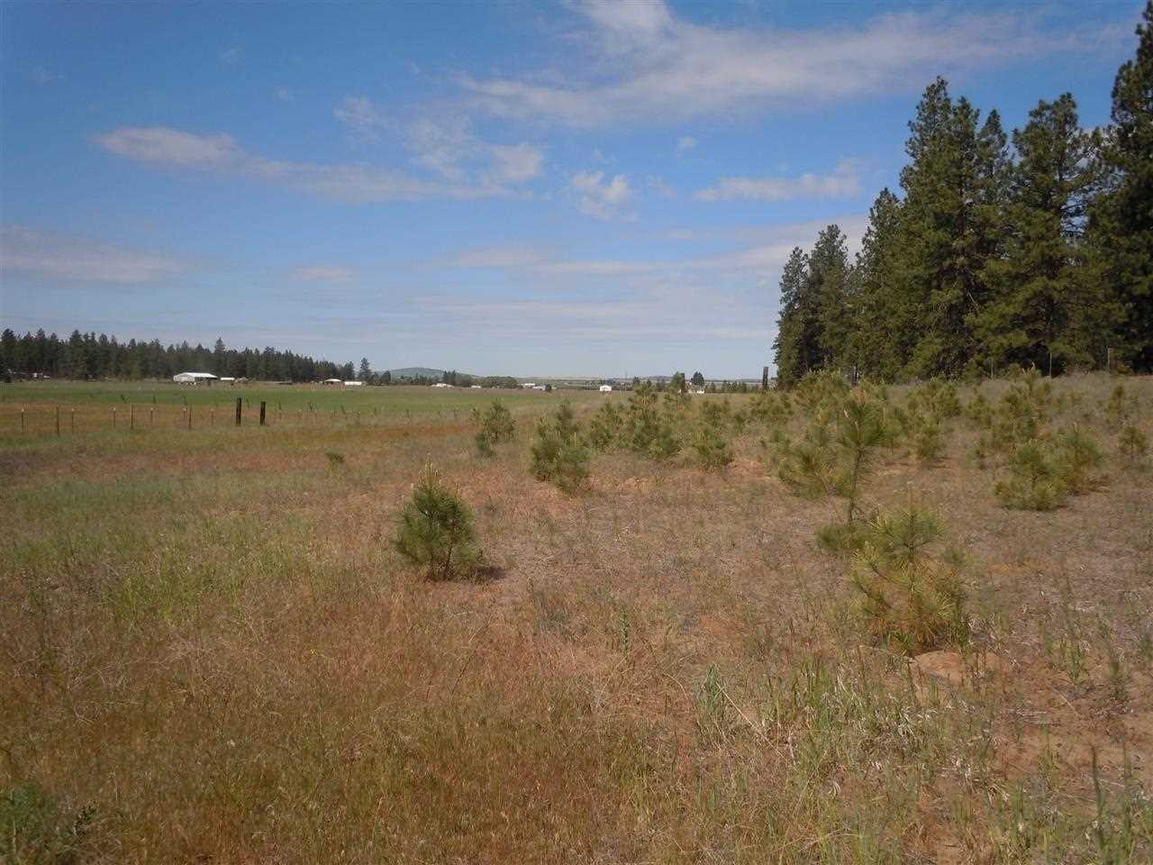 Nna South Ritchey Road Medical Lake, WA 99022 - Photo 2 of 20
