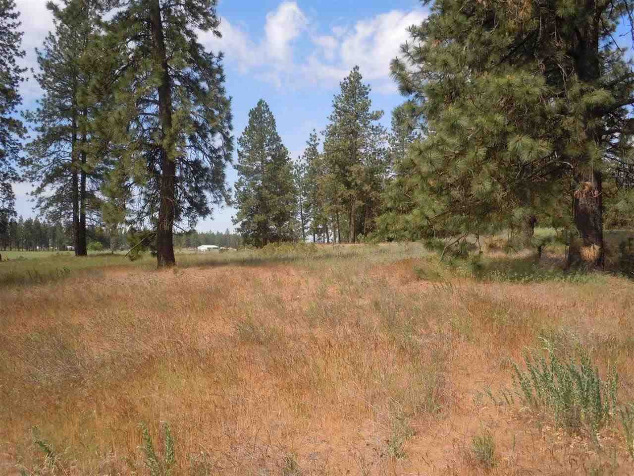 Nna South Ritchey Road Medical Lake, WA 99022 - Photo 11 of 20