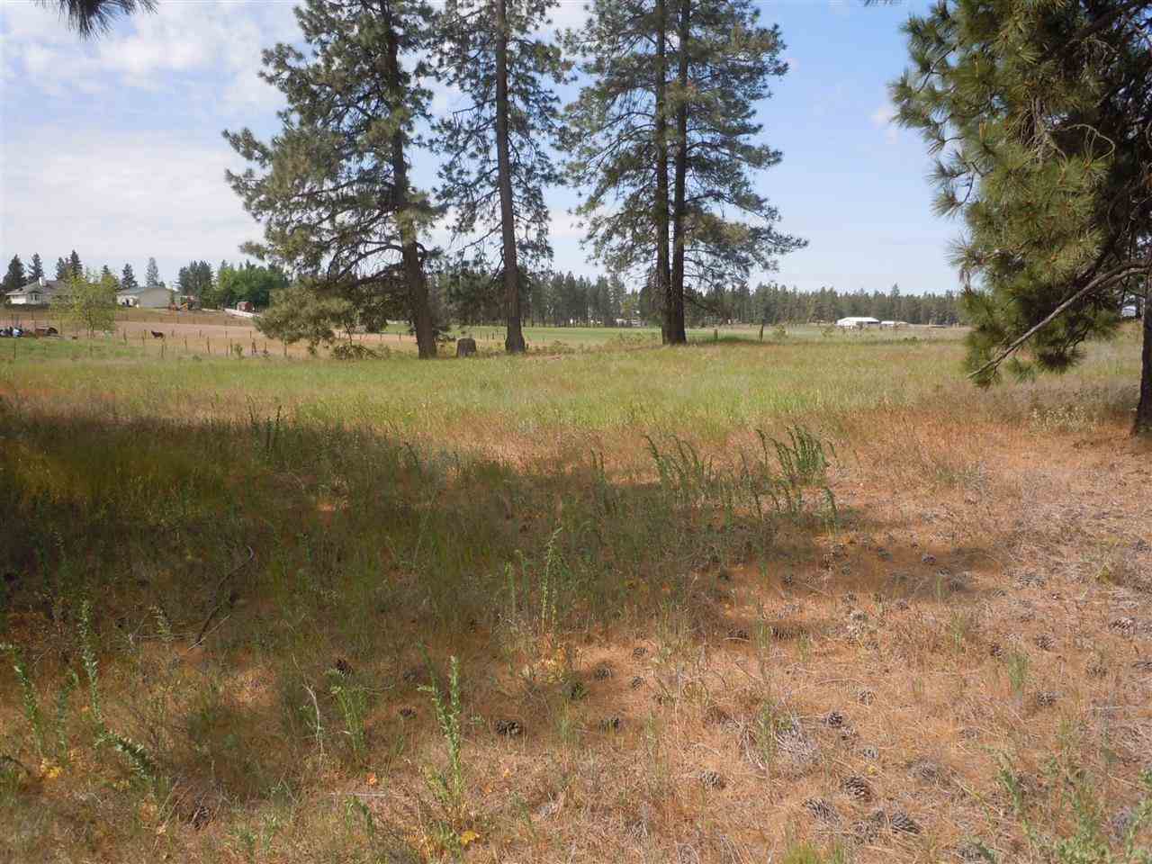 Nna South Ritchey Road Medical Lake, WA 99022 - Photo 12 of 20