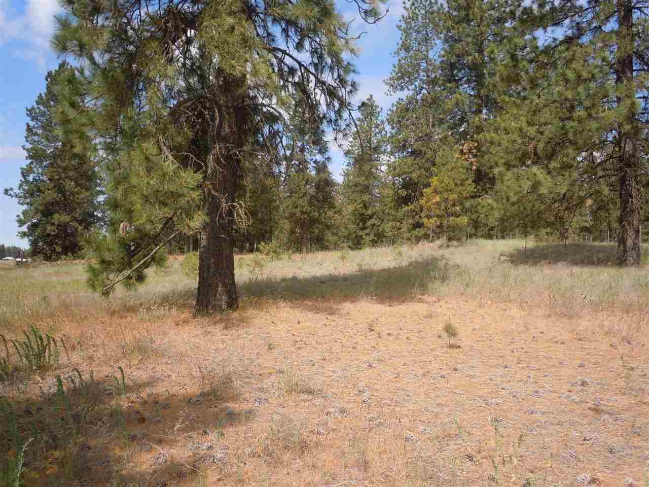 Nna South Ritchey Road Medical Lake, WA 99022 - Photo 13 of 20