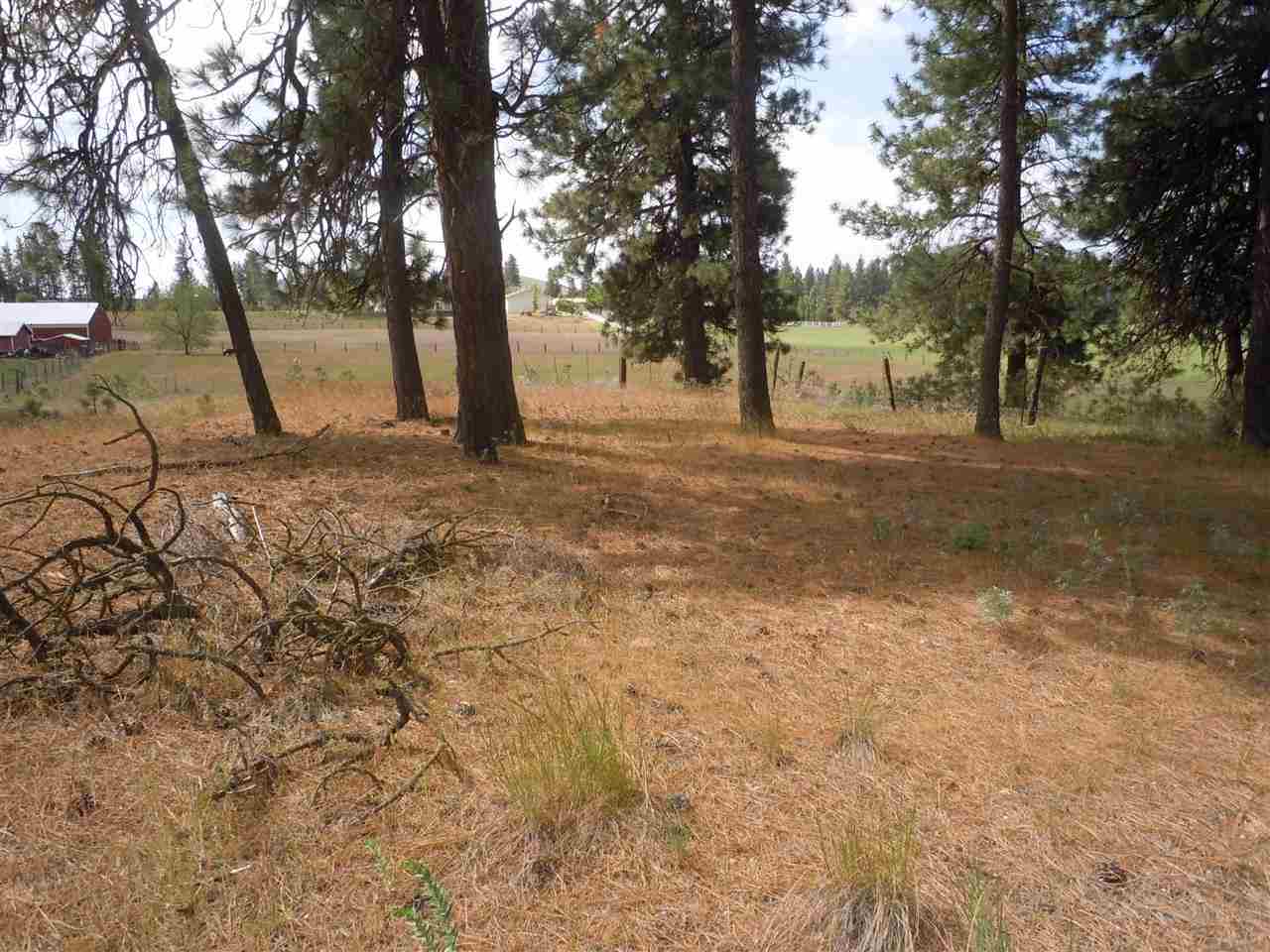 Nna South Ritchey Road Medical Lake, WA 99022 - Photo 14 of 20