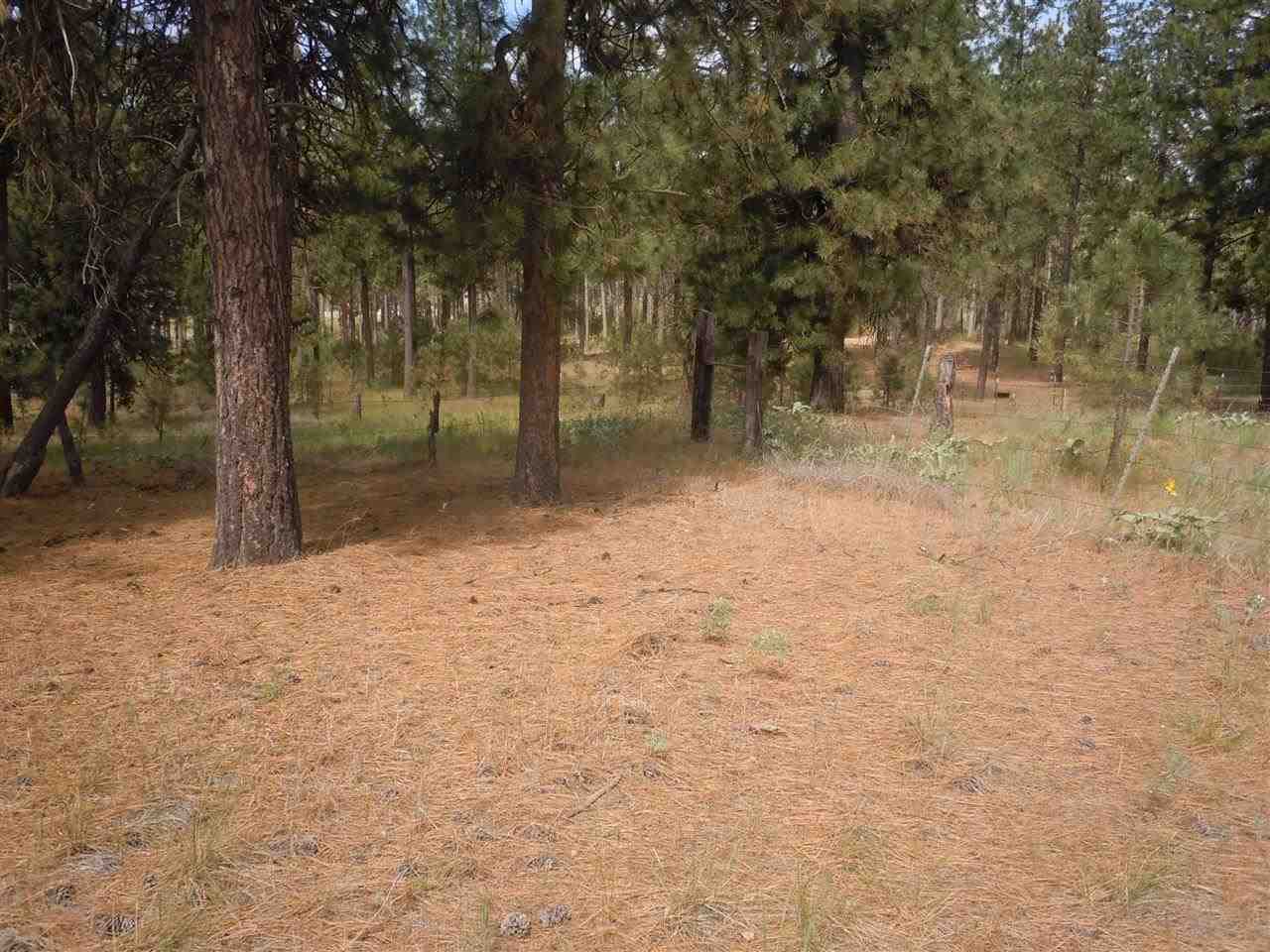 Nna South Ritchey Road Medical Lake, WA 99022 - Photo 15 of 20