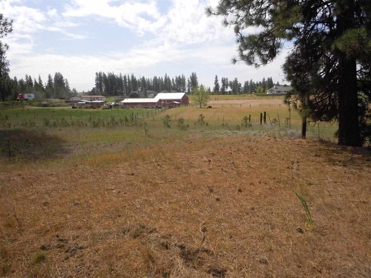 Nna South Ritchey Road Medical Lake, WA 99022 - Photo 16 of 20