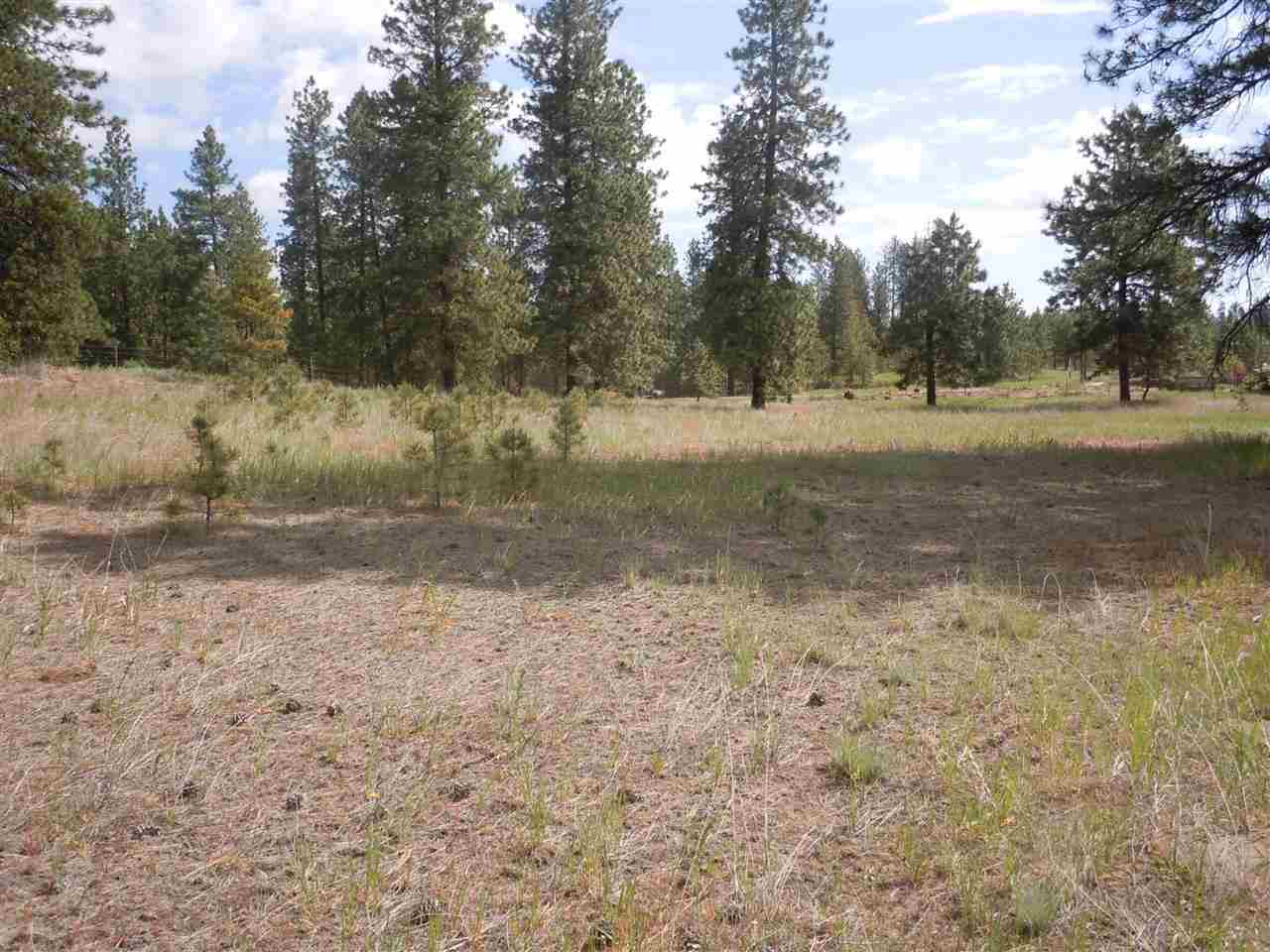 Nna South Ritchey Road Medical Lake, WA 99022 - Photo 17 of 20