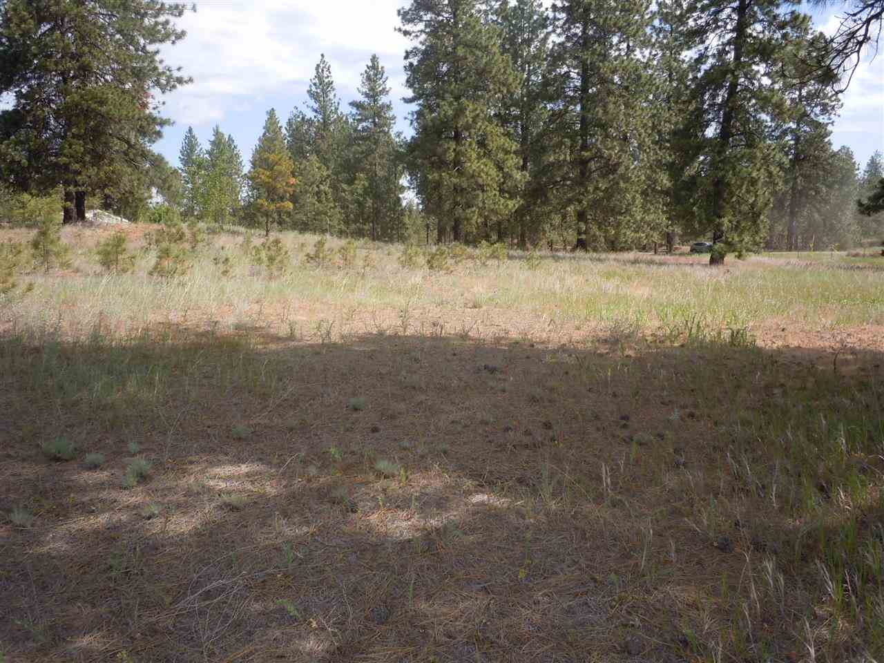 Nna South Ritchey Road Medical Lake, WA 99022 - Photo 18 of 20