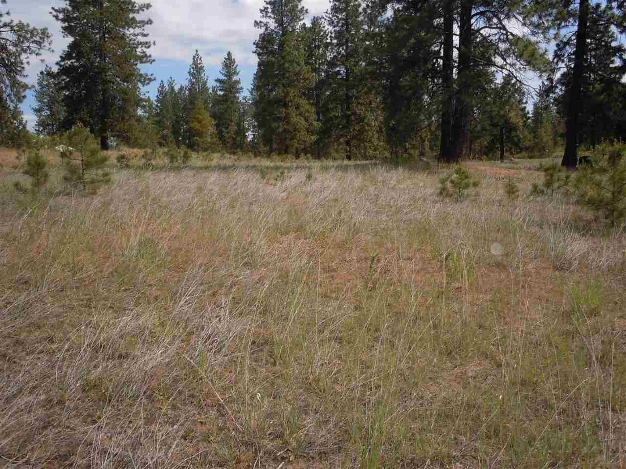Nna South Ritchey Road Medical Lake, WA 99022 - Photo 19 of 20