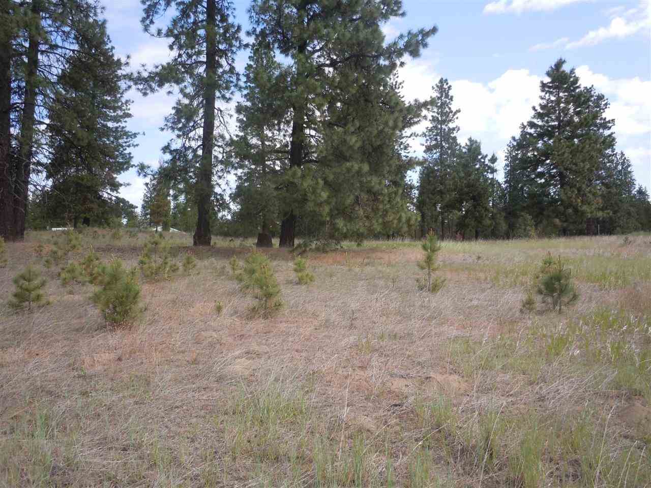 Nna South Ritchey Road Medical Lake, WA 99022 - Photo 20 of 20