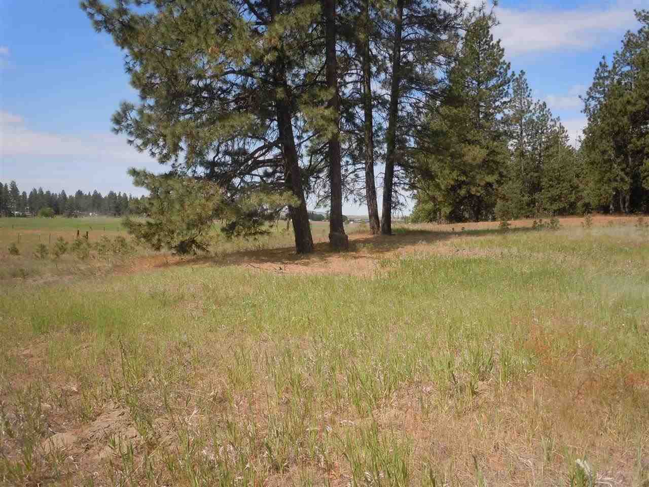 Nna South Ritchey Road Medical Lake, WA 99022 - Photo 3 of 20