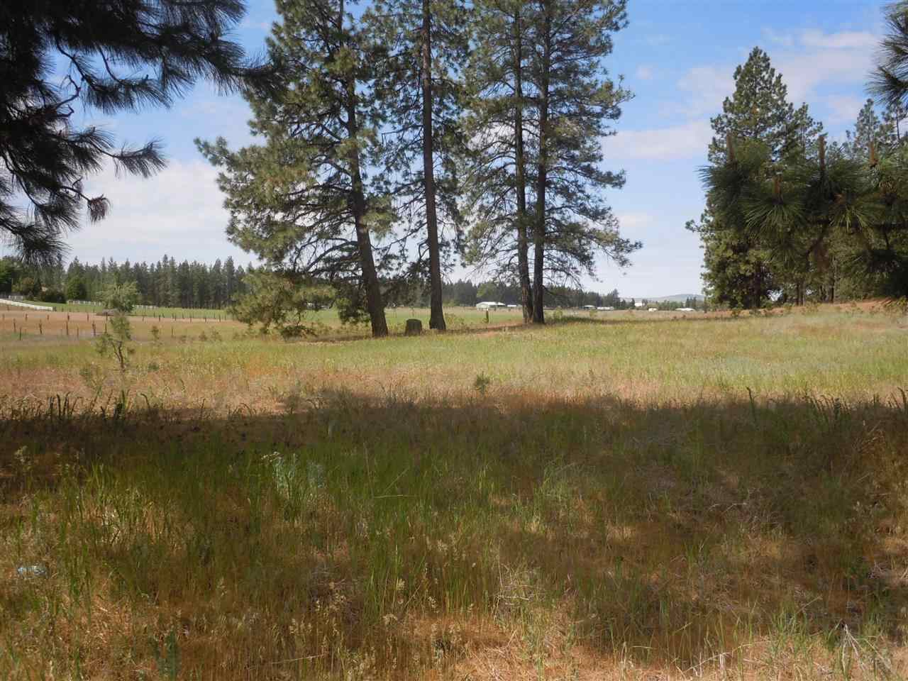 Nna South Ritchey Road Medical Lake, WA 99022 - Photo 4 of 20