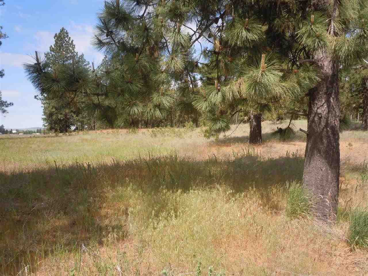 Nna South Ritchey Road Medical Lake, WA 99022 - Photo 5 of 20