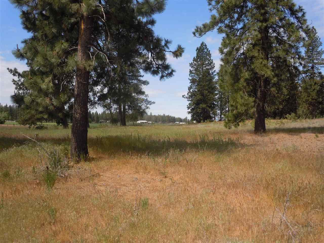 Nna South Ritchey Road Medical Lake, WA 99022 - Photo 6 of 20