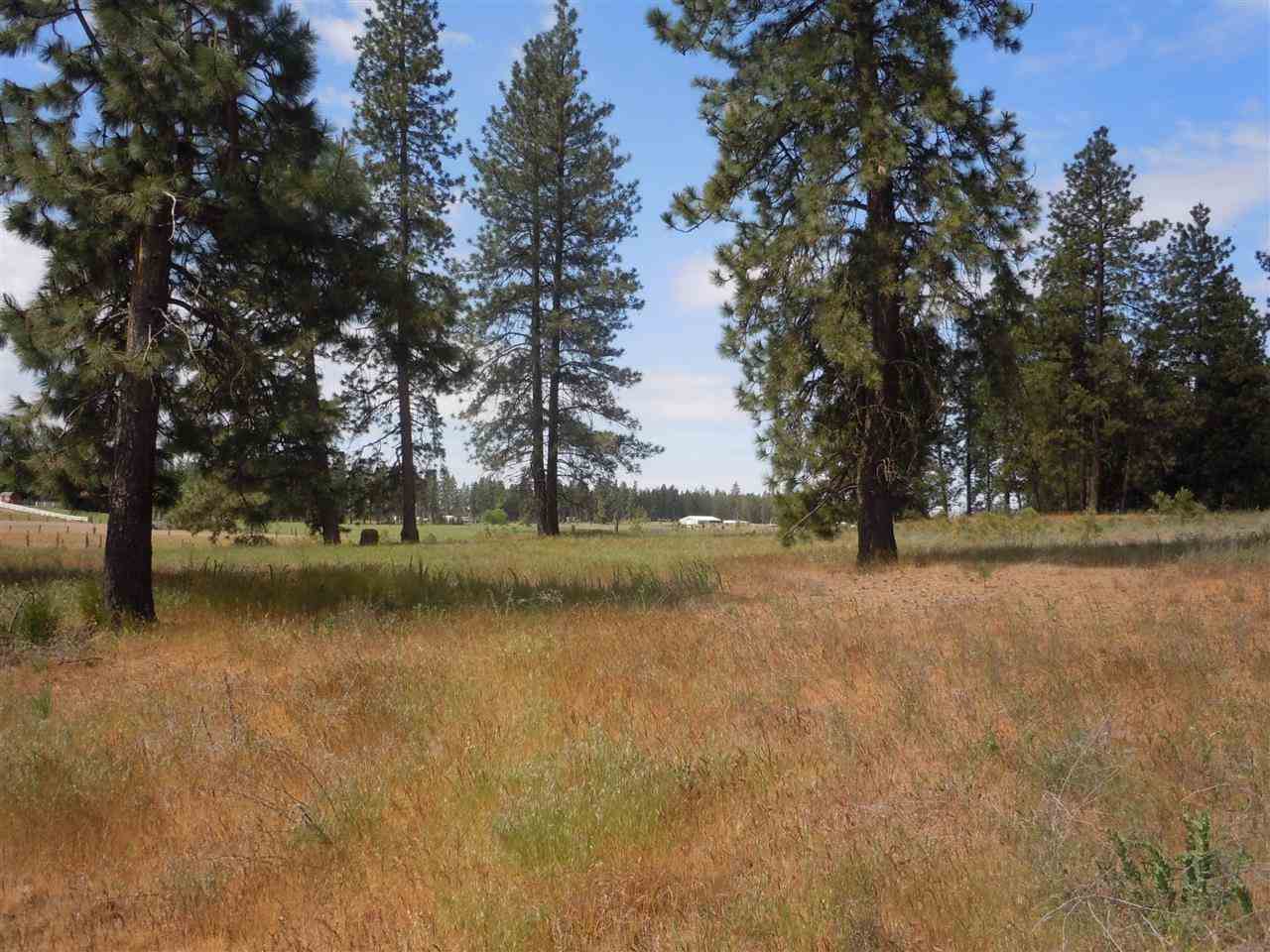 Nna South Ritchey Road Medical Lake, WA 99022 - Photo 7 of 20