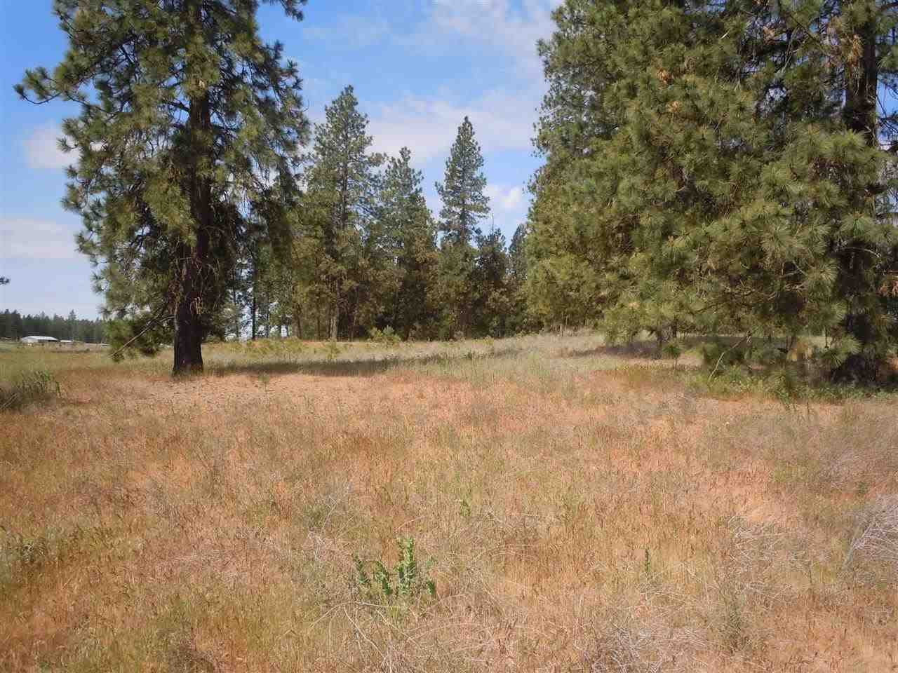 Nna South Ritchey Road Medical Lake, WA 99022 - Photo 8 of 20