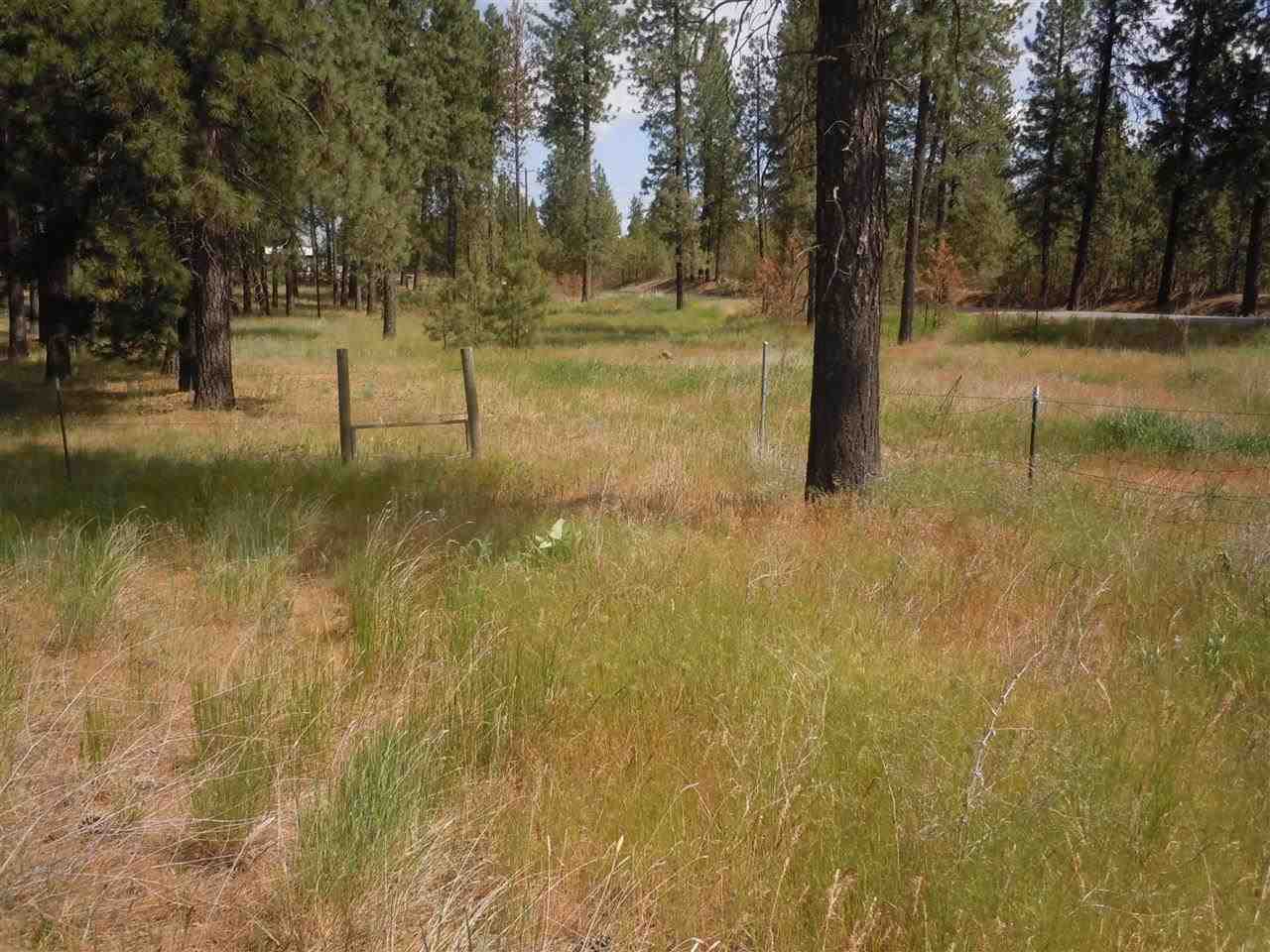 Nna South Ritchey Road Medical Lake, WA 99022 - Photo 9 of 20