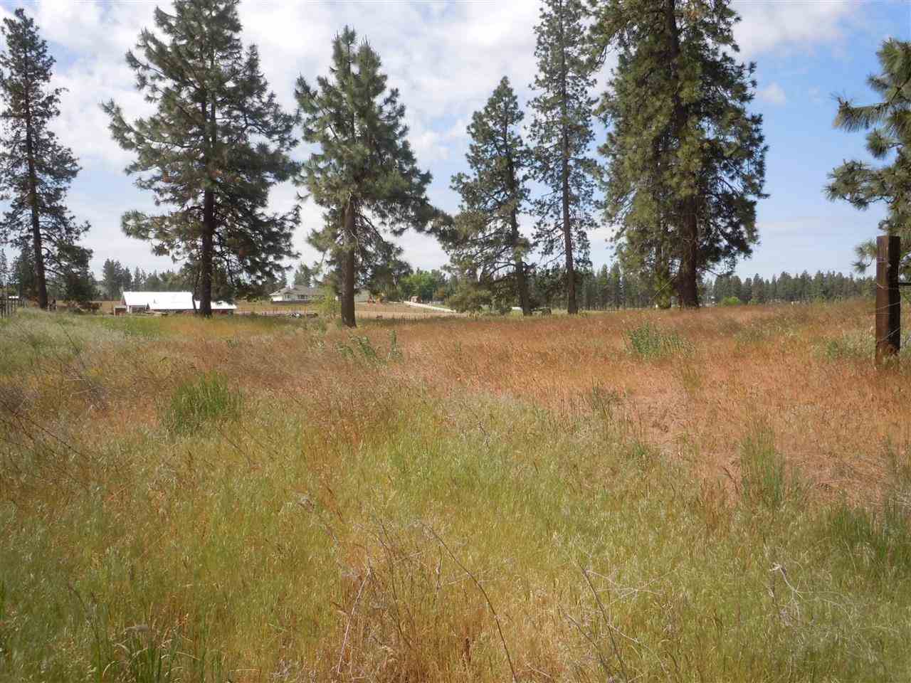 Nna South Ritchey Road Medical Lake, WA 99022 - Photo 10 of 20