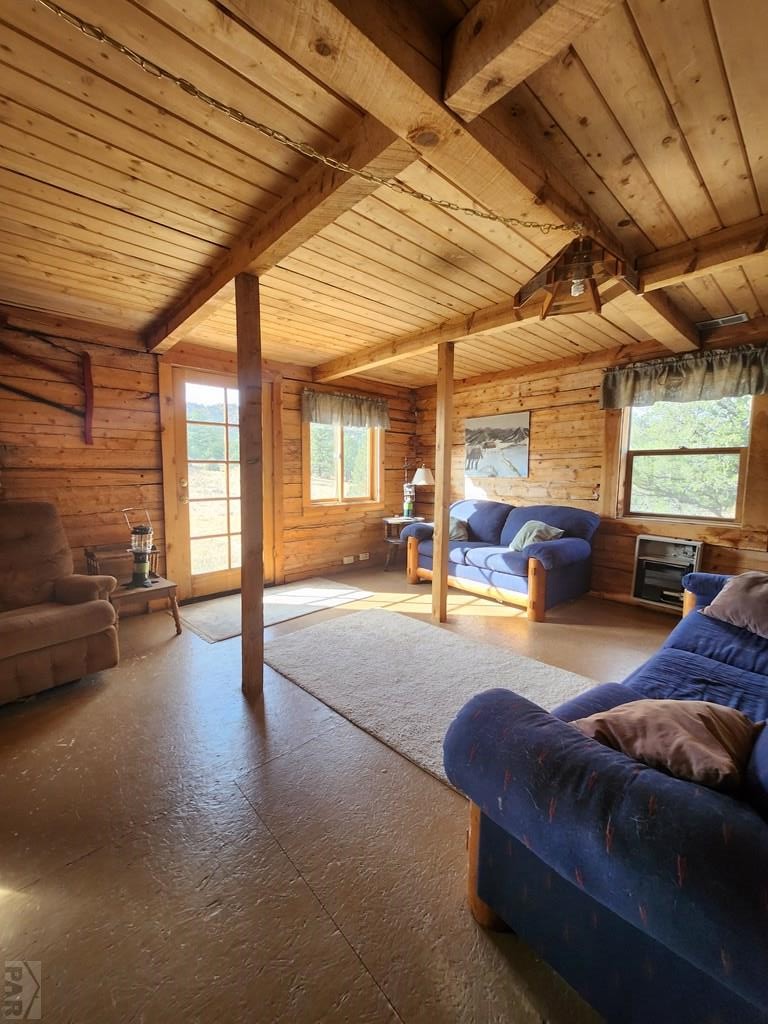 523-599 Ferris Road Westcliffe, CO 81252 - Photo 8 of 33