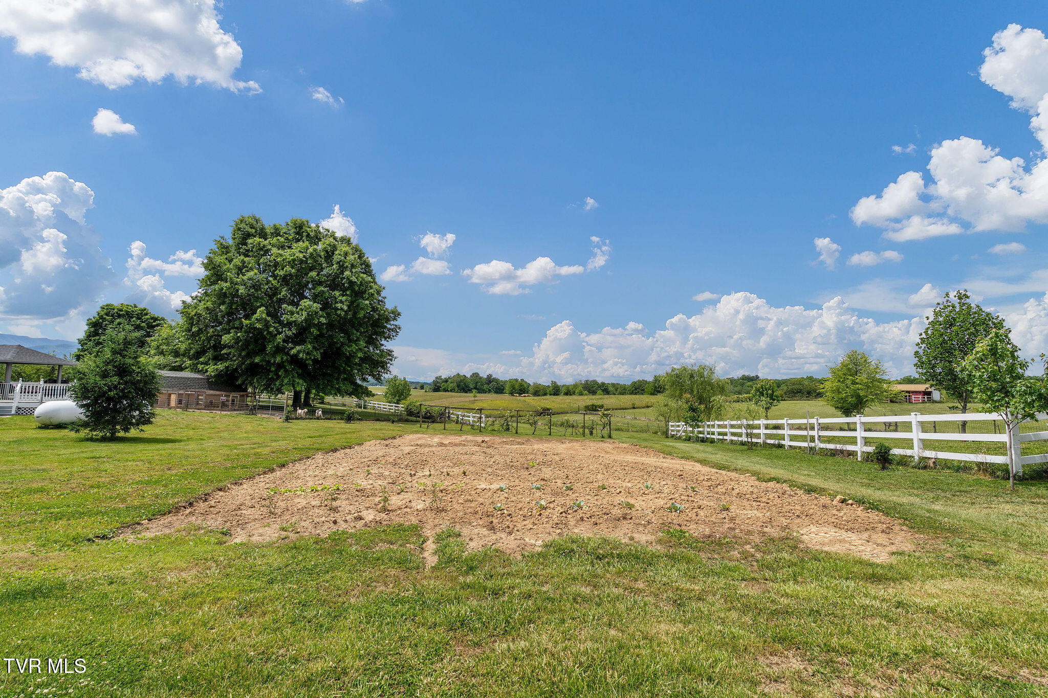 1385 Wilhoit Road Chuckey, TN 37641 - Photo 95 of 126 DSC08867
