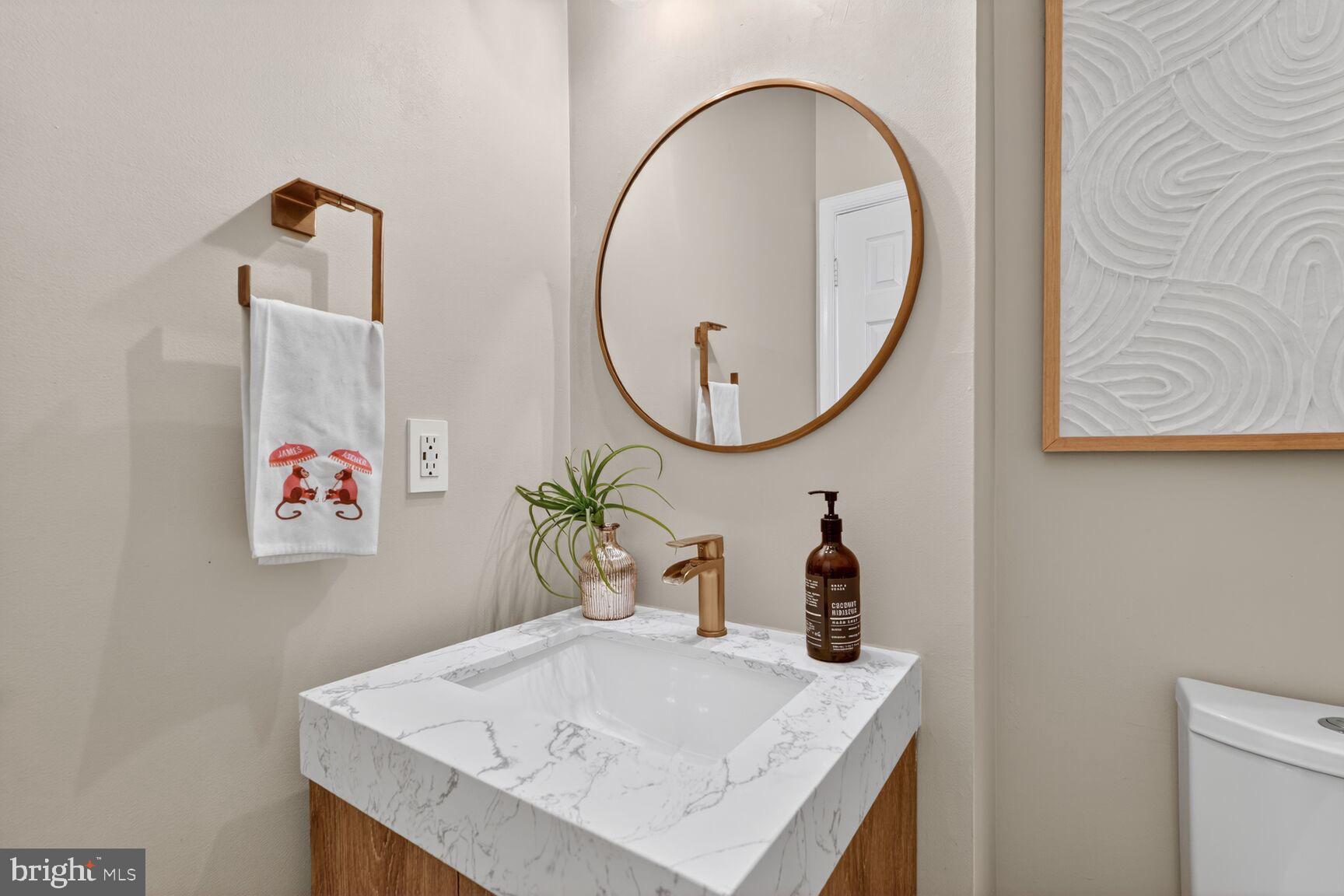 8713 Wadebrook Terrace Springfield, VA 22153 - Photo 5 of 21 a bathroom with a sink a mirror and vanity