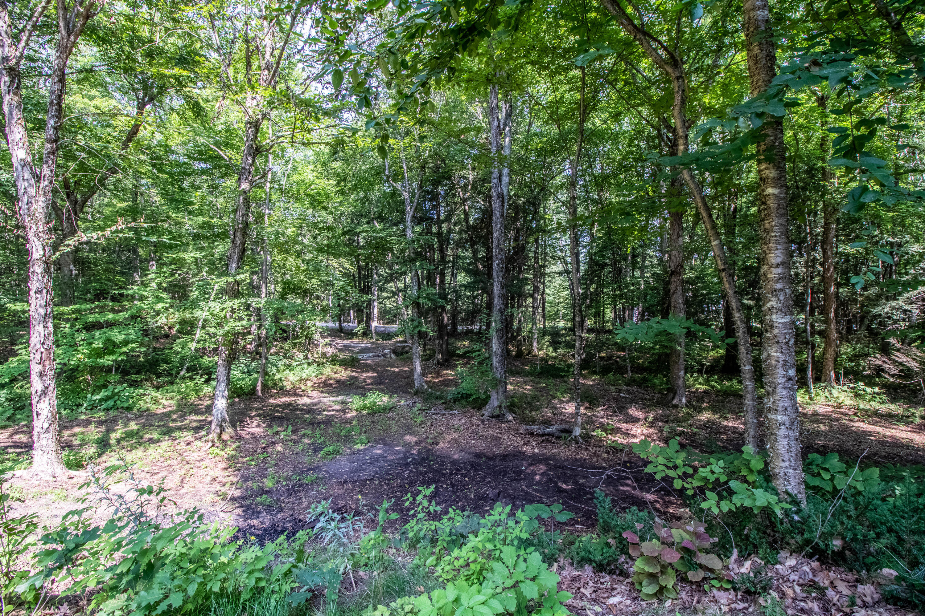25 Johnson Road Standish, ME 04084 - Photo 8 of 55 _MG_3239-HDR
