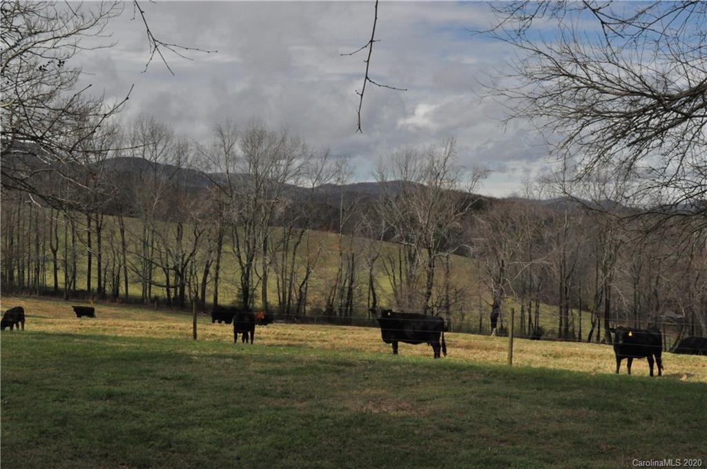 120 Green Hill Farm Road Landrum, SC 29356 - Photo 31 of 32