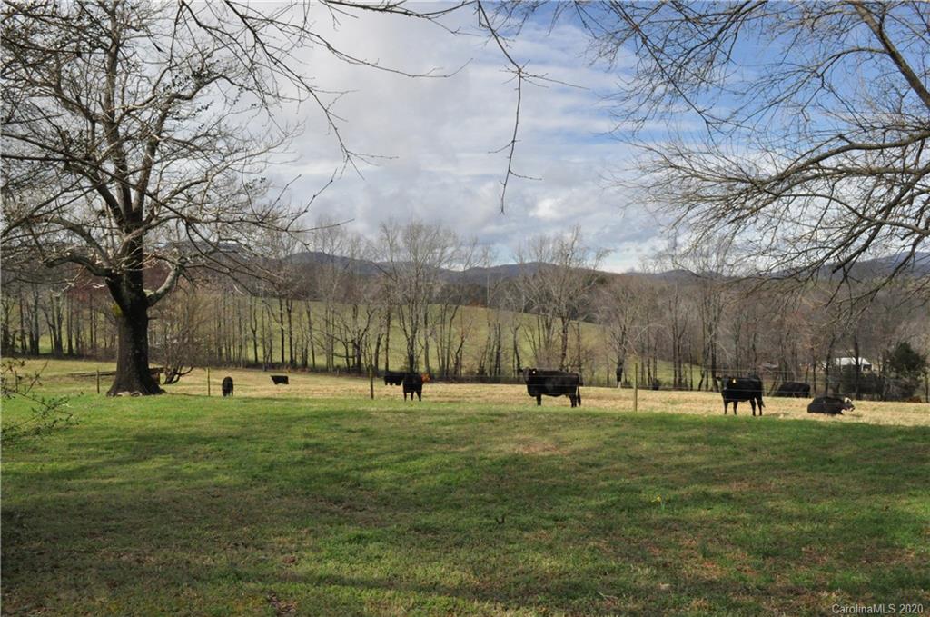 120 Green Hill Farm Road Landrum, SC 29356 - Photo 6 of 32