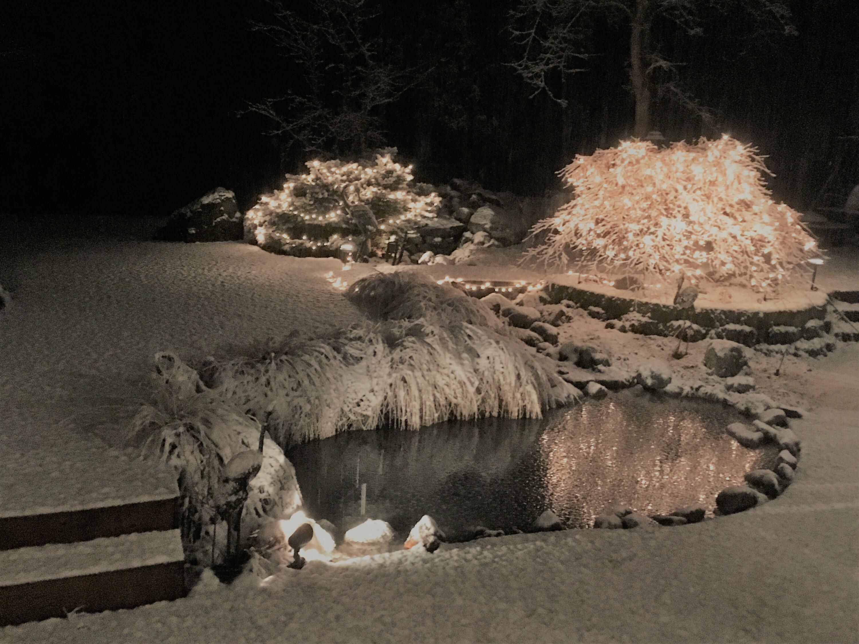 243 Cedar Flat Road Williams, OR 97544 - Photo 41 of 58 Waterfall in the winter
