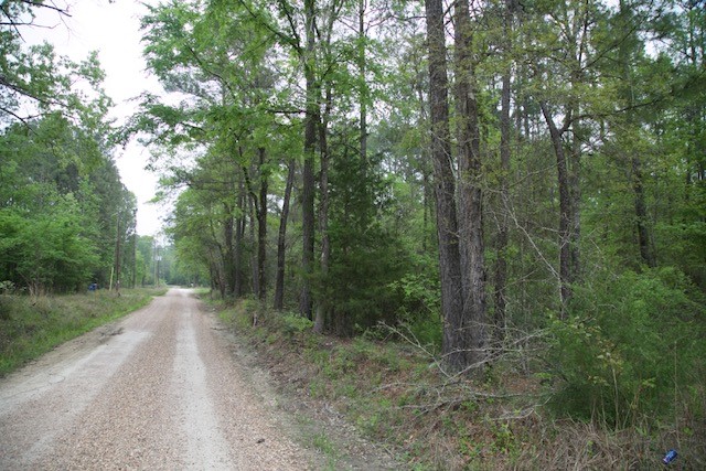 County maintained road provides a lot of road frontage for the land.