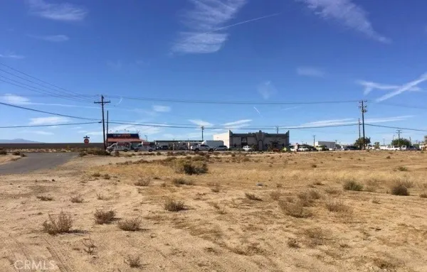 a view of a dry yard